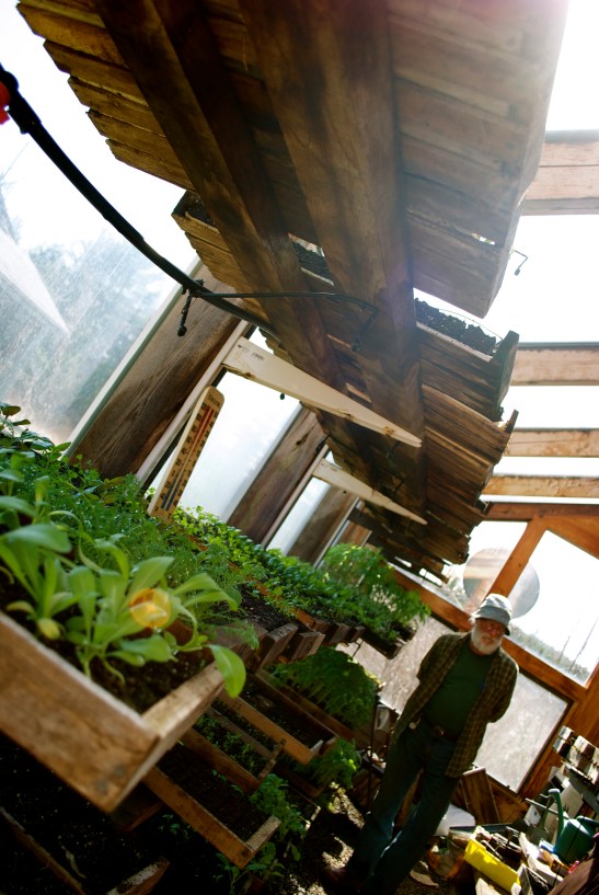 The Maine Farm Chick