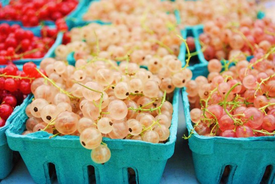 Farmers Market, Genie Giamio